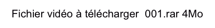 Fichier vidéo à télécharger  001.rar 4Mo